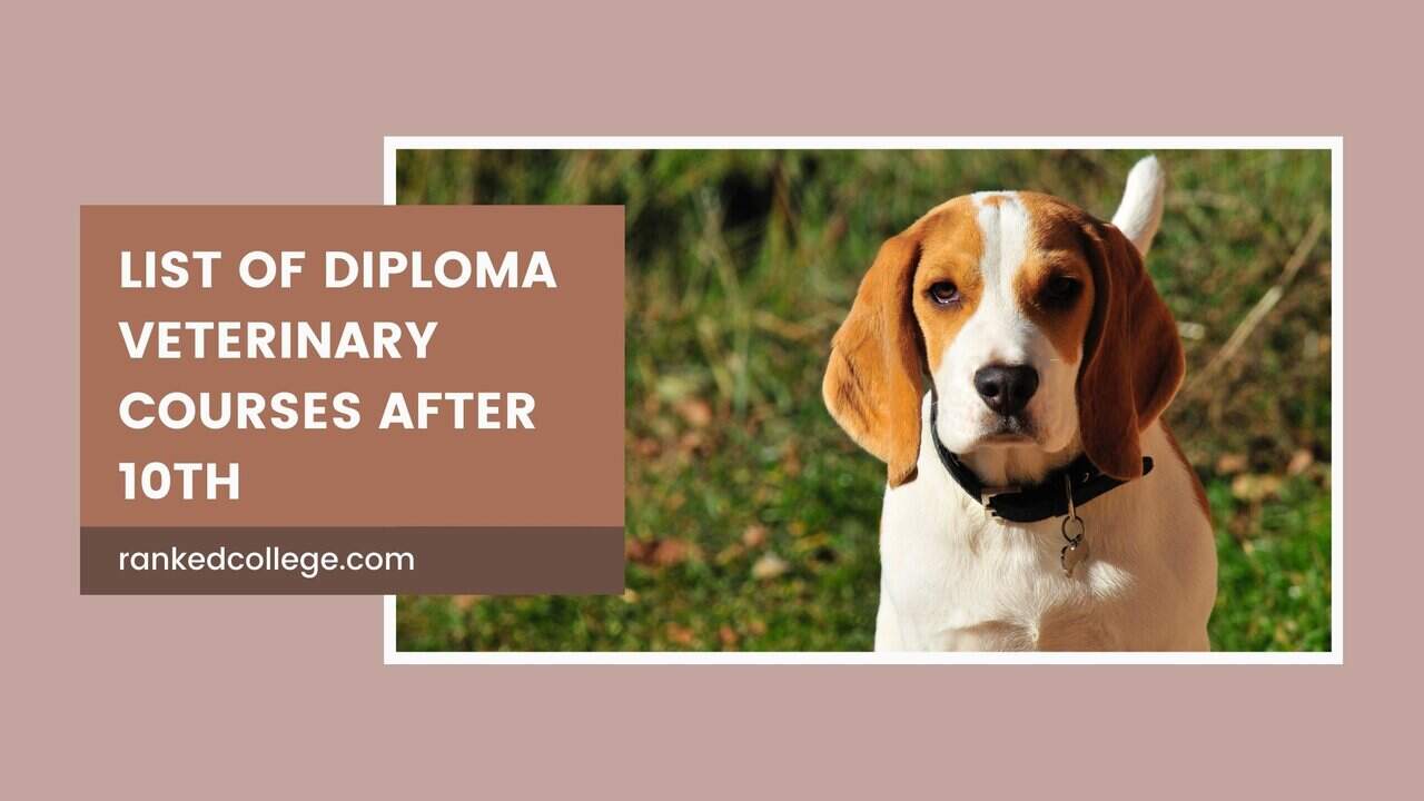 List of Diploma Veterinary Courses after 10th in India