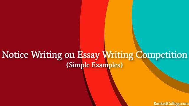 essay experience in a competition