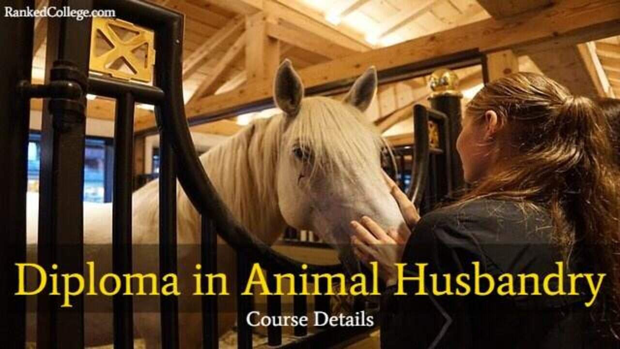 Diploma in Animal Husbandry Course Details: After 10th, 12th