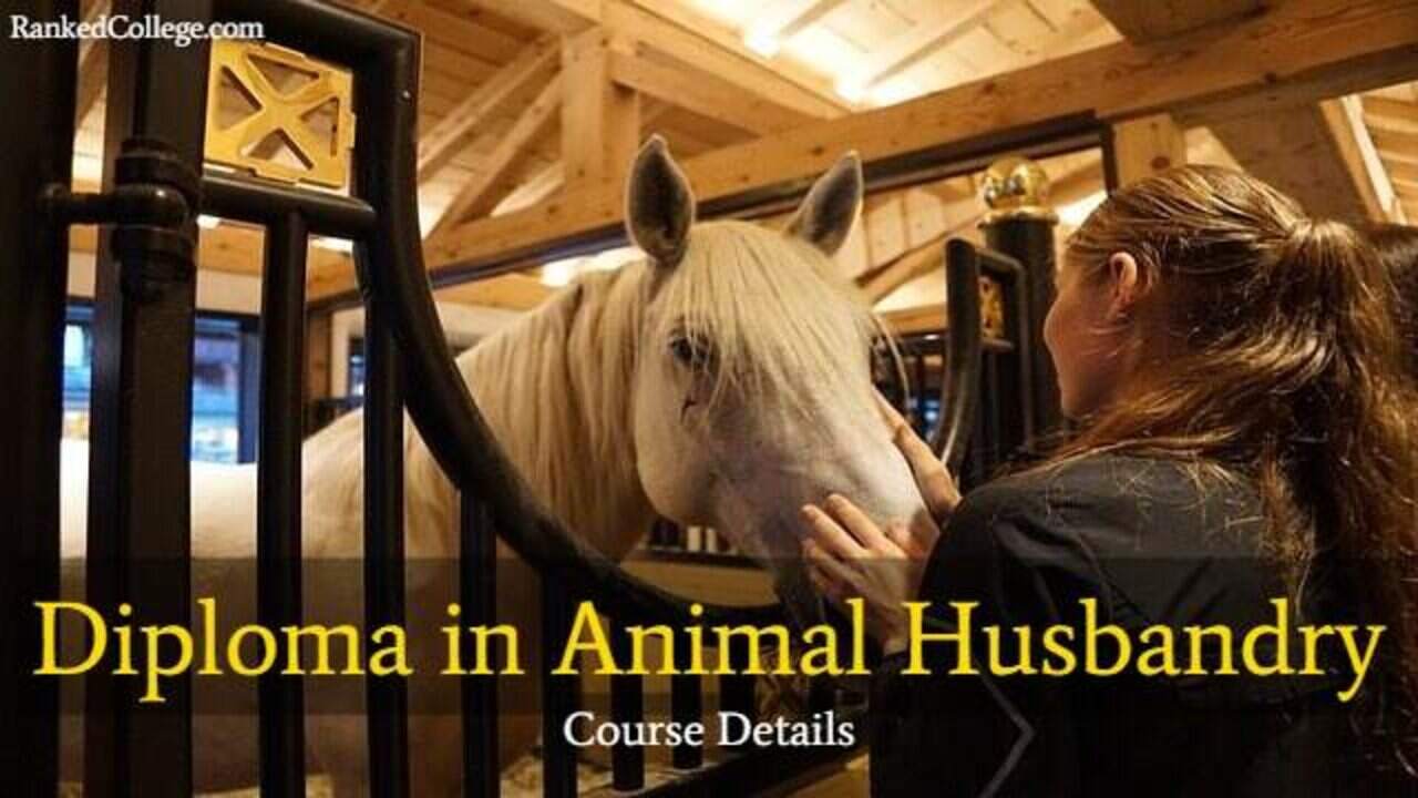 Diploma in Animal Husbandry Course Details: After 10th, 12th Diploma in Animal Husbandry Course Details: After 10th, 12th